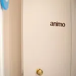 Animo Aesthetic At Guildford Str * Corfu (city)